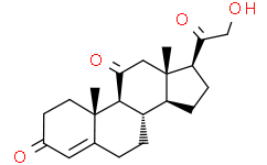 11-Dehydrocorticosterone
