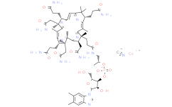 （脂肪细胞型）脂肪酸结合蛋白4（FABP4/A-FABP）测试盒