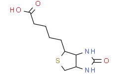 D-生物素