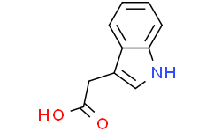 3-吲哚乙酸（IAA）