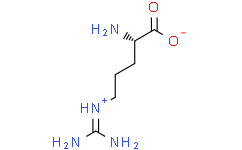 L-精氨酸