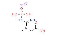[APExBIO]Phosphocreatine disodium salt,98%