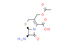 7-氨基头孢烷酸,97%