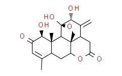 臭椿酮,≥98%（HPLC）