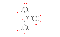 (-)-Epigallocatechin Gallate sulfate (EGCG)
