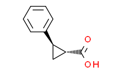 反式-2-苯基环丙烷-1-羧酸,95%