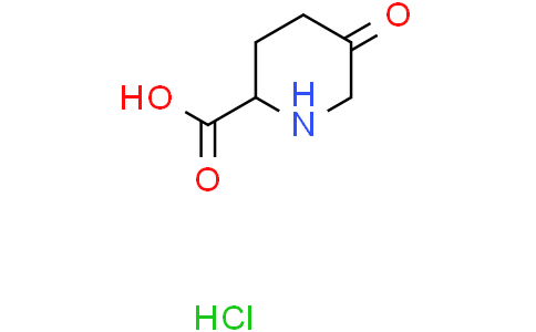 5-oxopiperidine-2-carboxylic acid hydrochloride