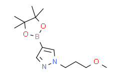 1-(3-甲氧基丙基)-4-(4，4，5，5-四甲基-1，3，2-二氧硼杂环戊烷-2-基)-1H-吡唑,95%