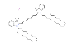 DiR iodide|细胞膜紫红色荧光探针
