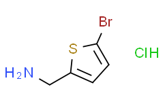 2-氨甲基-5-溴噻吩盐酸盐,98%