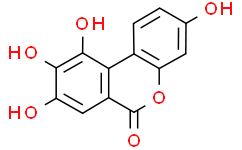 urolithin M6