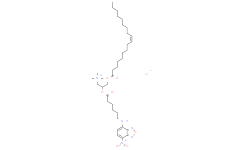 Fluorescent DOTAP