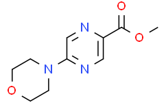 5-(4-吗啉基)-2-吡嗪甲酸甲酯