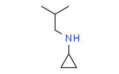 N-异丁基环丙胺盐酸盐,≥95%