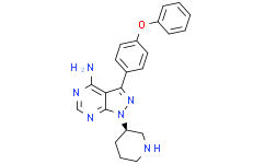 Btk inhibitor 1 (R enantiomer)