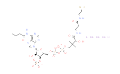 丁酰辅酶A 锂盐 水合物