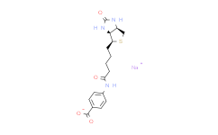 (+)-Biotin 4-Amidobenzoic Acid (sodium salt)