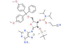 2'-O-tert-Butyldimethylsilyl-5'-O-DMT-C2-methyladenosine 3'-CE phosphoramidite