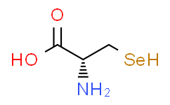 硒代-L-半胱氨酸,≥95%