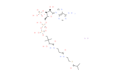 异丁酰基辅酶 A