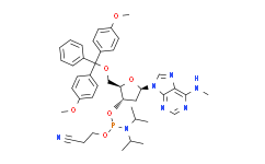 N6-Methyl-dA phosphoramidite