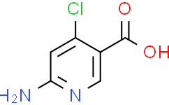 4-氯-6-氨基烟酸,97%