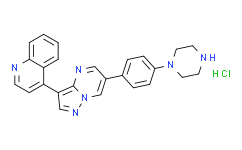 4-[6-[4-(1-哌嗪基)苯基]吡唑并[1,5-a]嘧啶-3-基]喹啉盐酸盐