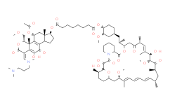 Wortmannin-Rapamycin Conjugate