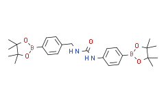 N，N'-双[4-(4，4，5，5-四甲基-1，3，2-二氧硼杂环戊烷-2-基)苯基]脲,95%