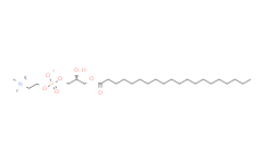 1-arachidoyl-2-hydroxy-sn-glycero-3-phosphocholine,>99%