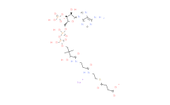 Succinyl-Coenzyme A sodium