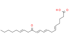 12-OxoETE