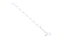 生物素-六乙二醇-叠氮