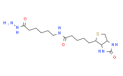 (+)-Biotinamidohexanoic acid hydrazide,95%