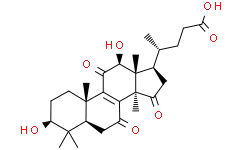 2025新老澳门原料