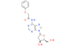 2'-脱氧-N6-苯氧基乙酰基腺苷