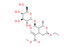 7α-O-Ethylmorroniside