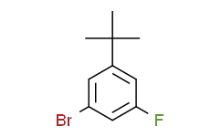 1-叔丁基-3-溴-5-氟苯,95%