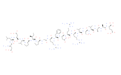 钙调神经磷酸酶底物,≥97% (HPLC)