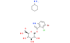 5-溴-4-氯-3-吲哚基-β-D-葡糖苷酸环己胺盐