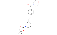 3-[[4-(4-吗啉基羰基)苯氧基]甲基]-1-哌啶甲酸叔丁酯