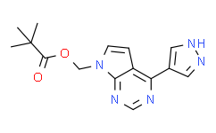 (4-(1H-吡唑-4-基)-7H-吡咯并[2，3-d]嘧啶-7-基)甲基特戊酸酯,97%