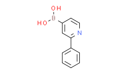 (2-phenylpyridin-4-yl)boronic acid,95%
