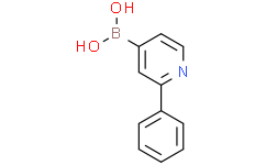 (2-phenylpyridin-4-yl)boronic acid,95%