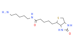 生物素-C5-胺,>95.0%(HPLC)