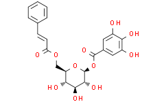 2025新老澳门原料