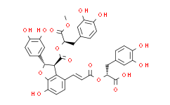 9’-丹酚酸B单甲酯,分析对照品，98%