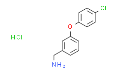 (3-(4-氯苯氧基)苯基)甲胺盐酸盐,95%