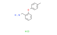 (2-(对甲苯基氧基)苯基)甲胺盐酸盐,95%