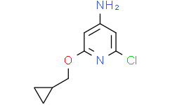 2-氯-6-(环丙基甲氧基)吡啶-4-胺